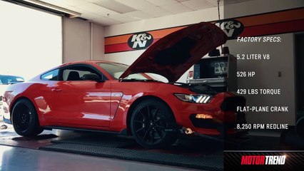 Shelby Mustang GT350 Dyno