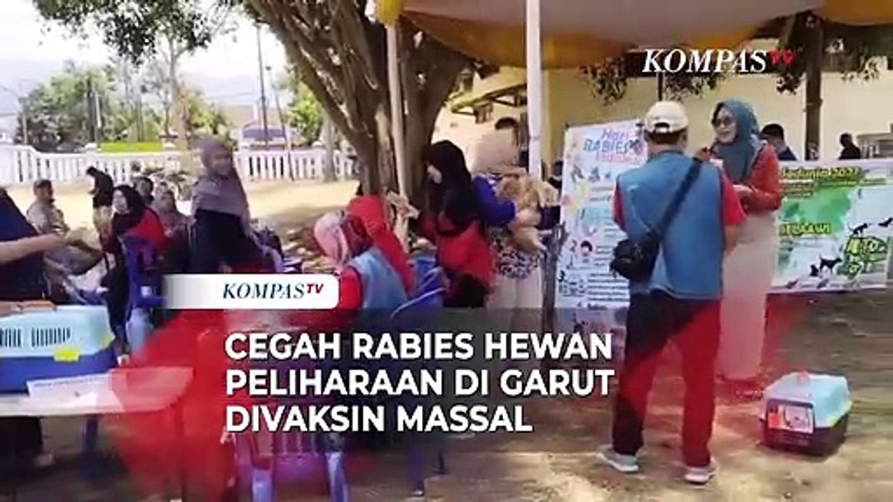Cegah Rabies, Hewan Peliharaan di Garut Divaksin Massal