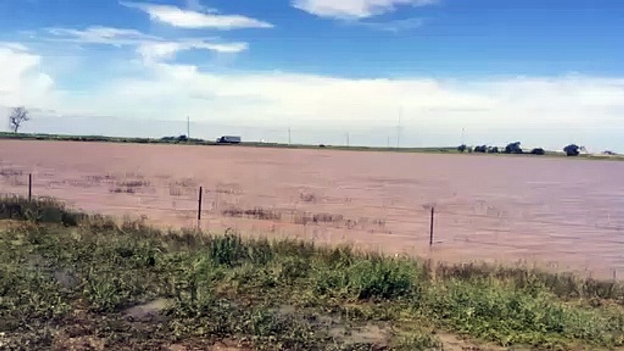 Rain Soaked Texas Field
