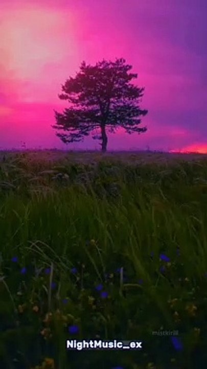 Sara Bareilles - Brave