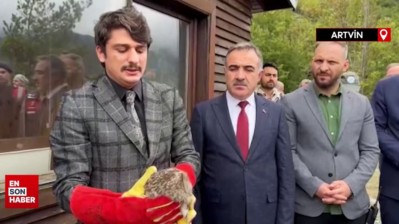 Artvin’de çakal ve baykuş doğaya bırakıldı