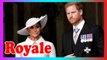 Royal Family LIVE: Embarras dans le Sussex al0rs que les Américains le perdent avec Harry et Meghan