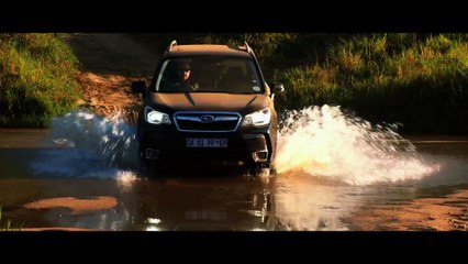 2015 Subaru WRX: Subies Latest Pocket Rocket Gets Put to the Test! - Ignition Ep. 102