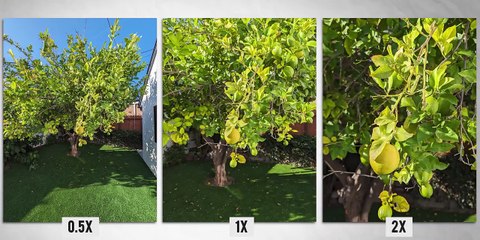 Google Pixel 8 Pro HERE YOU GO! Unboxings, Camera Samples, Benchmarks and more