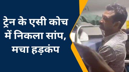 इटावा: मगध एक्सप्रेस के एसी कोच बी-1 में सांप दिखने पर मचा हड़कंप, आधे घंटे चला रेस्क्यू