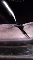 How tattoo machine work tattoo niddle