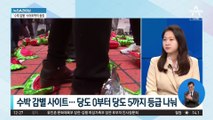 수습 안 되는 당 내홍…‘수박 감별’ 사이트 등장