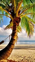 प्रकृति का न्याय || आचार्य प्रशांत