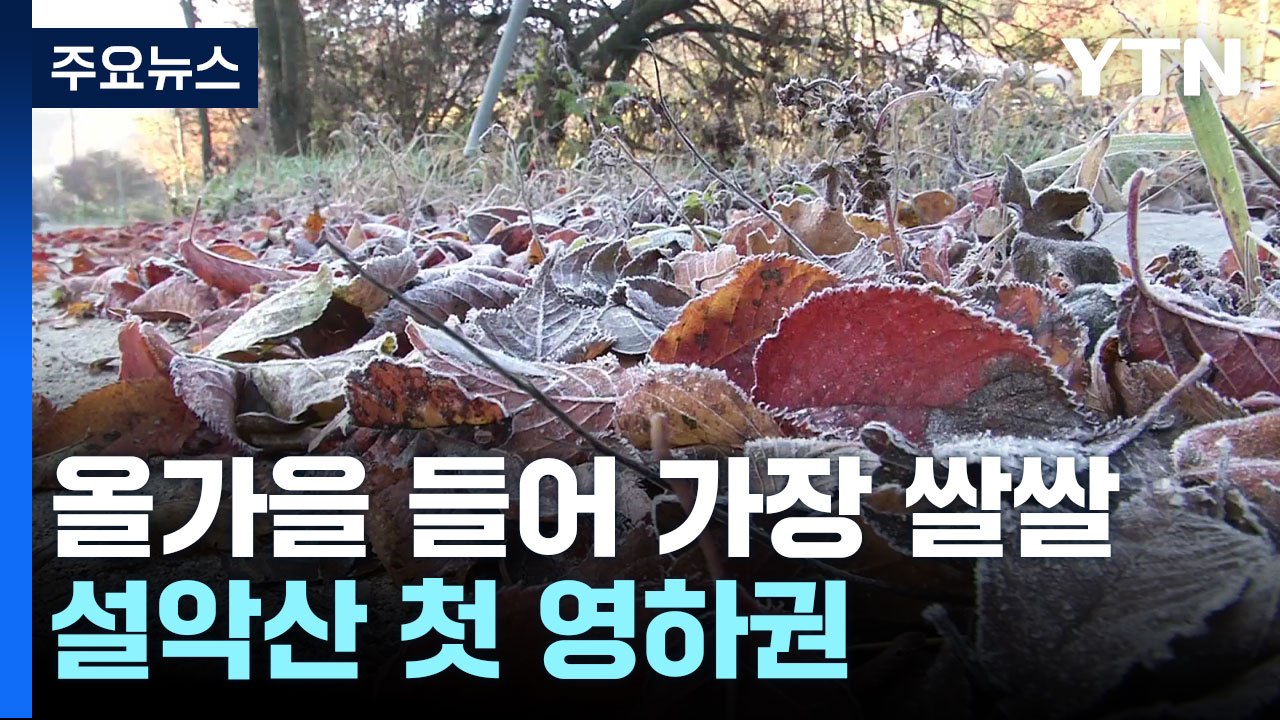 [날씨] 올가을 들어 가장 쌀쌀...내륙 기온 뚝, 설악산 첫 영하권 / YTN