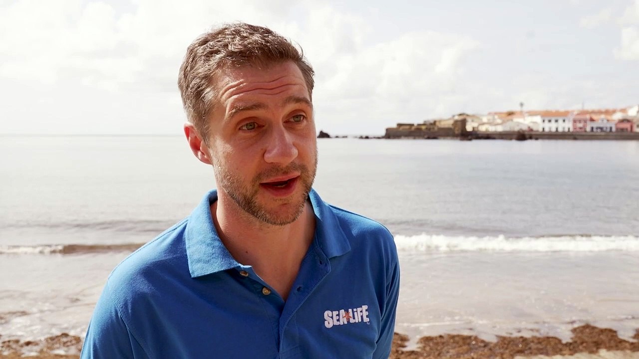 SEA LIFE Scarborough Curator Todd German Interview - Credit PA