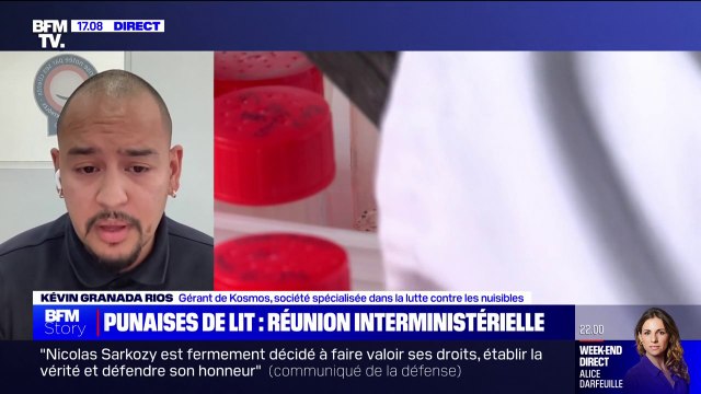 Punaises de lit: Ce que l'on a de manière certaine, ce sont de nombreux appels qu'on n'avait pas avant