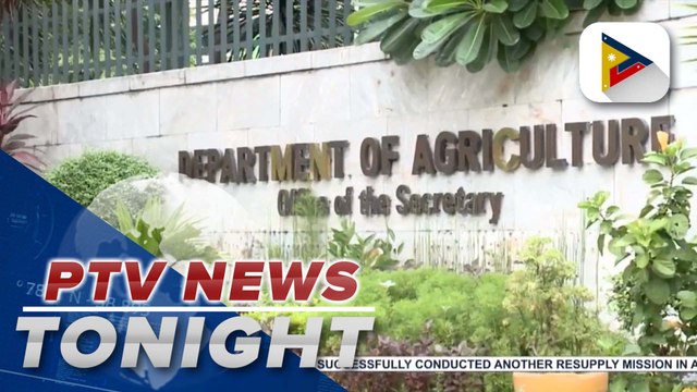 P12.7B cash aid for rice farmers OK’d