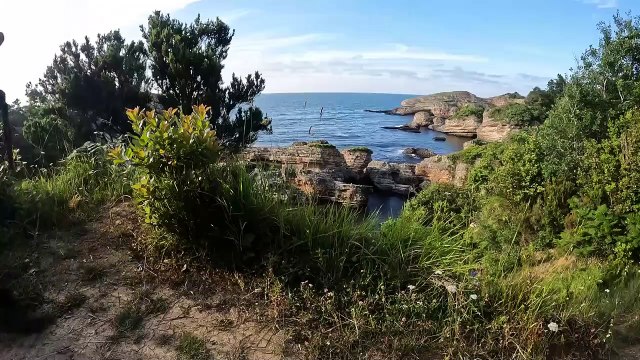 3 DAYS solo survival (NO FOOD, NO WATER, NO SHELTER) Catch and Cook, OCTOPUS - Bushcraft Camping