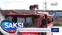 Aso, tumatambay sa bubong ng namamasadang jeep | Saksi