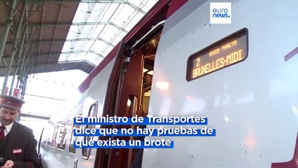 Francia | Perros contra chinches en el metro y los trenes de París
