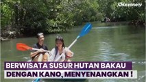 Serunya Berwisata Susur Hutan Bakau dengan Menggunakan Kano