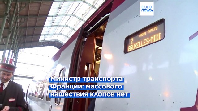 Франция борется с клопами: поезда и парижский общественный транспорт проверят собаки-ищейки