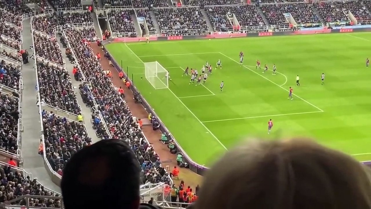 Newcastle United vs PSG  4 x 1  All Goals & Extended Highlights  UEFA Champions League 2023