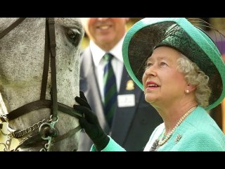 Queen was a 'horse-whisperer' with 'extraordinary' affinity for them