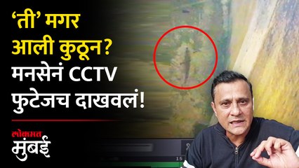 दादरच्या स्विमिंग पुलमध्ये मगरीचं पिल्लू, कुठून आलं? CCTV फुटेज...