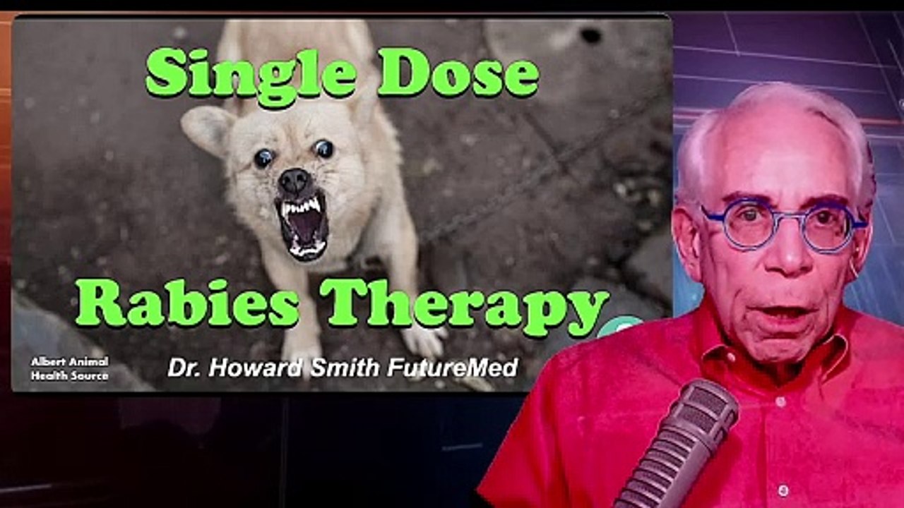 Single Dose Rabies Therapy video Dailymotion