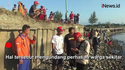 Hiu Tutul Sepanjang 6 Meter Mati Tersangkut Jaring Nelayan