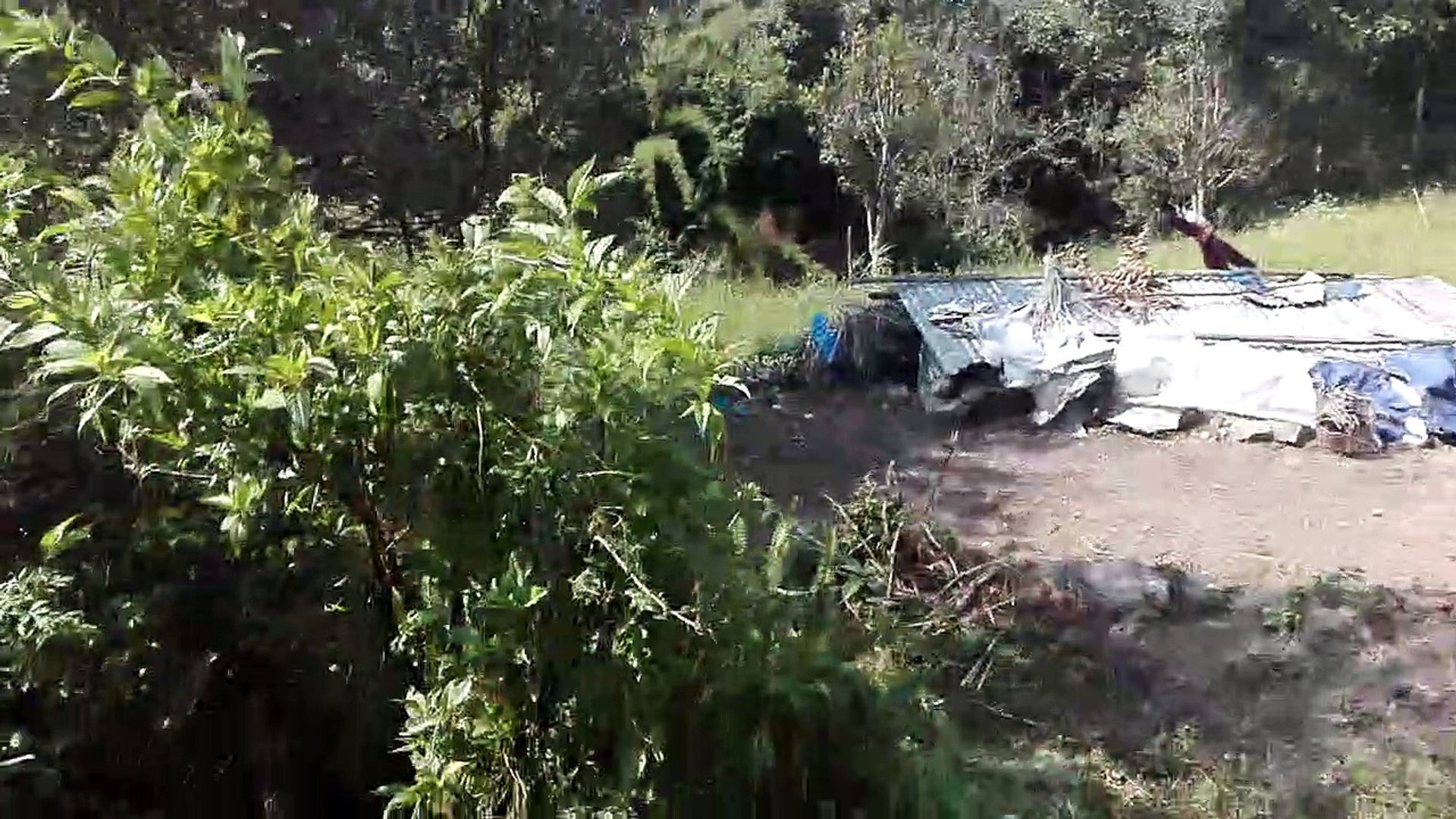 Nagarkot Forest