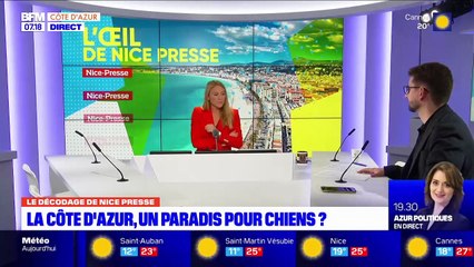 Les 28 200 chiens de Nice ont-ils de quoi être heureux ?