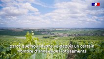 Epernay, territoire pilote de sobriété foncière.