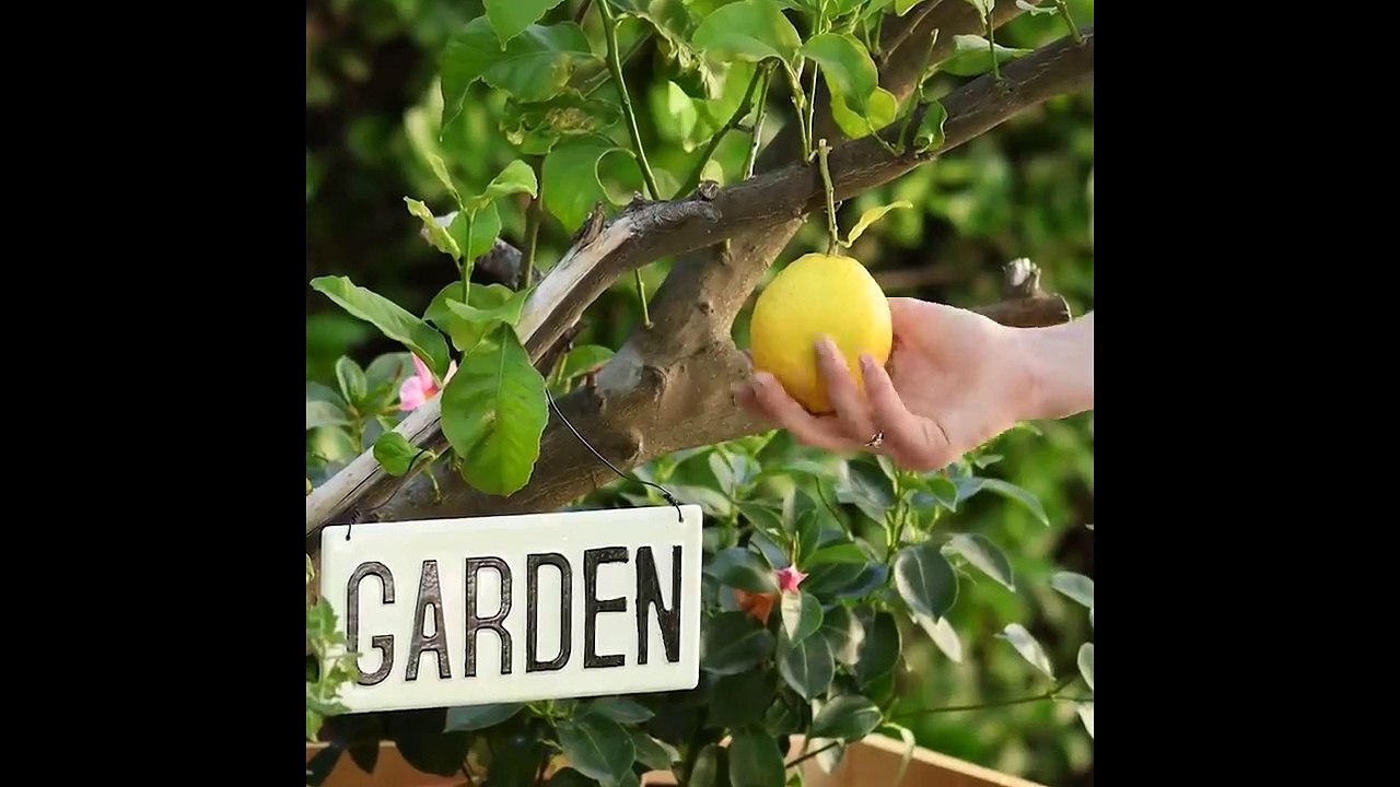 12 Indoor Gardening Hacks That Make You Throw Your Hands up and Sprout!