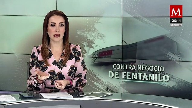 Los Chapitos y la sangrienta huella de la prohibición del fentanilo en Sinaloa
