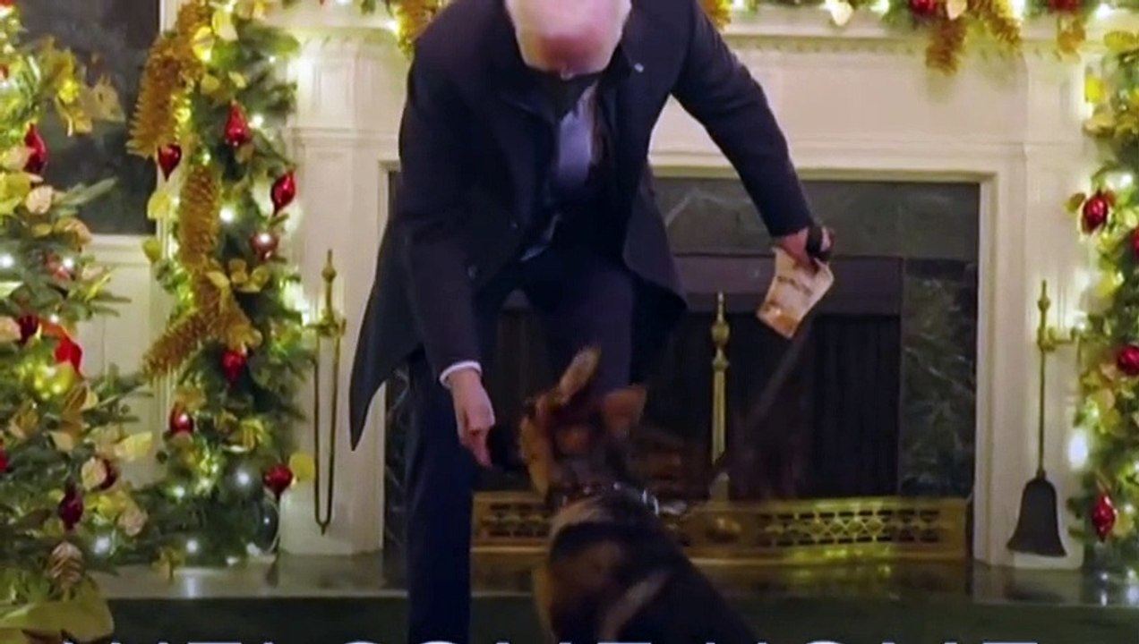 Nach Beiß-Vorfällen: Bidens Hund muss Weißes Haus verlassen