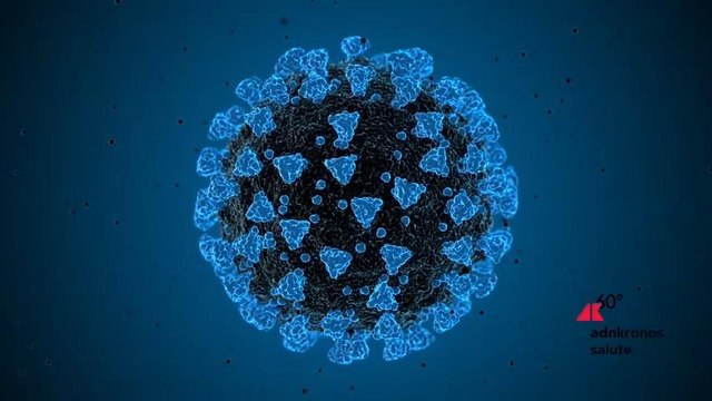 Gli esperti, ‘Contro il Covid rendere disponibili quanto prima tutti i vaccini aggiornati'