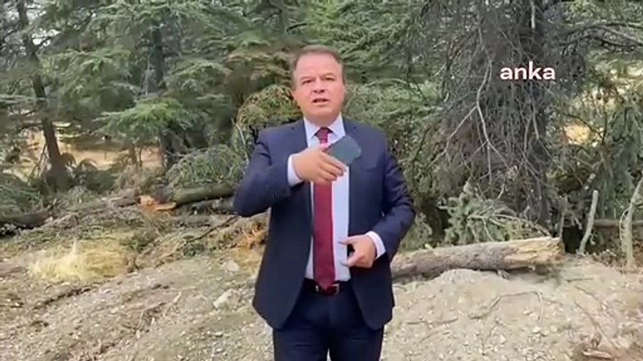 Des arbres ont été abattus dans la zone forestière d'Elazığ en raison des travaux de la ligne de transport d'électricité
