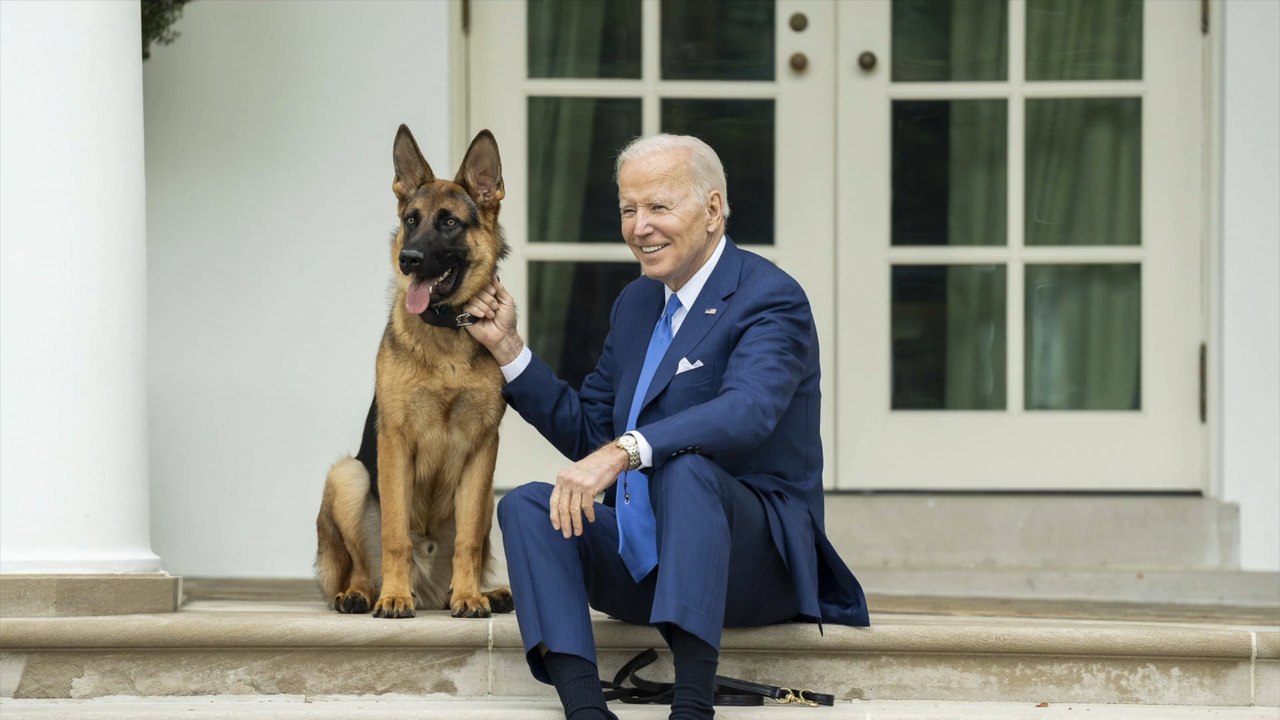 Bidens hund aus weißem haus verbannt