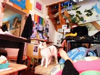 in meiner Wohnung mit meiner Katze Sept/Okt 2023...