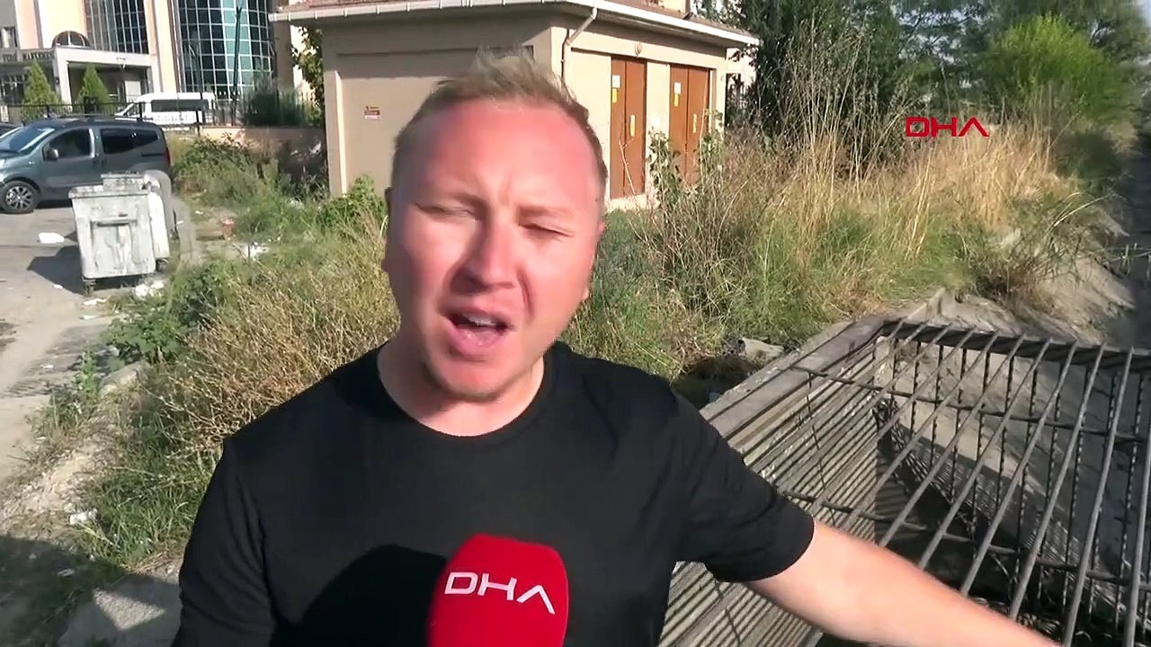 Des poissons sont morts à cause du manque d'oxygène dans le canal d'irrigation d'Edirne