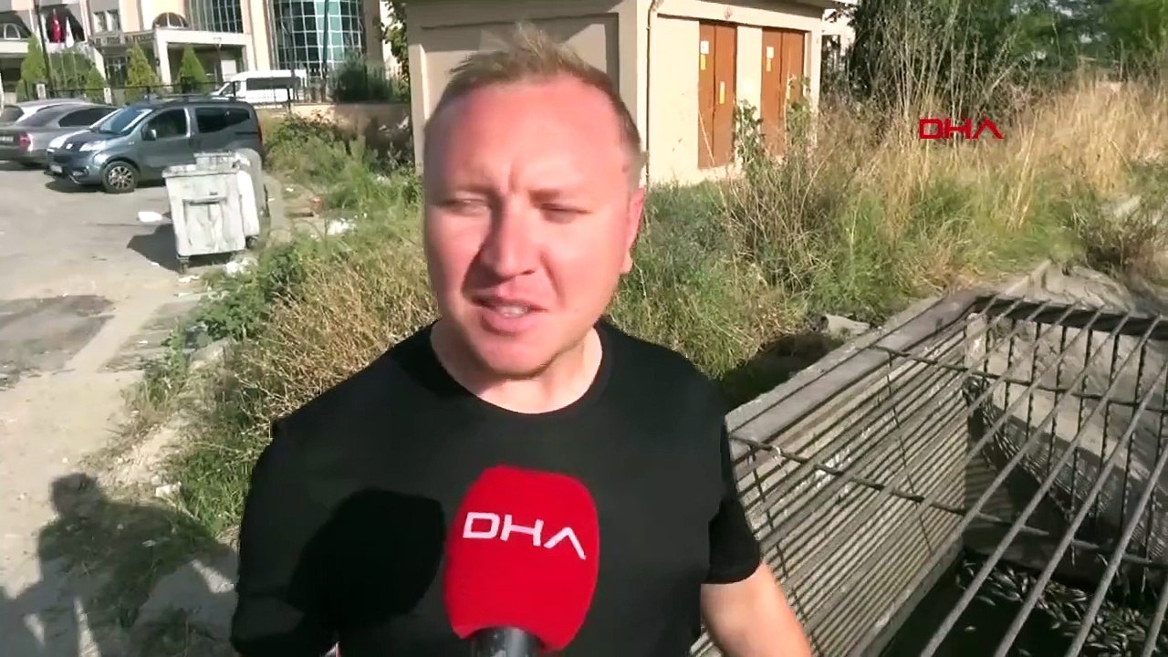 Des poissons sont morts à cause du manque d'oxygène dans le canal d'irrigation d'Edirne