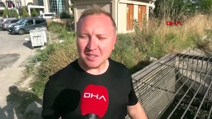 Des poissons sont morts à cause du manque d'oxygène dans le canal d'irrigation d'Edirne