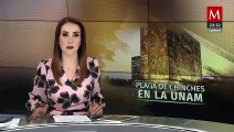 Estudiantes de la UNAM se pronuncian ante la plaga de chinches