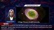 NASA's James Webb discovers an entirely new category of worlds - 1BREAKINGNEWS.COM