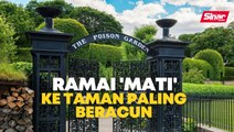 Ramai 'mati' ke taman paling beracun