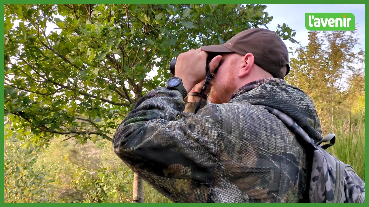 À l'écoute du brâme des cerfs en forêt d'Anlier