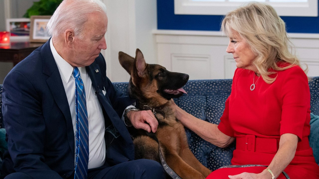 Nach Beiß-Vorfällen: Bidens Hund muss Weißes Haus verlassen