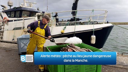 Alerte météo : pêche au lieu jaune dangereuse dans la Manche.