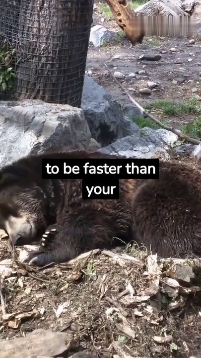 Motivational Quotes - Stronger than the Bear #quotes #inspirationalquotes #motivationalquotes #motivation #inspiration #quotes #quoteoftheday #love #quote #life #success #positivevibes #instagram #instagood #quotestagram #selflove #believe #happiness #lif