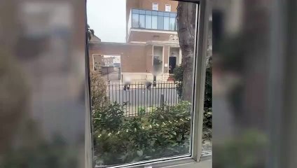 Anne XL Bully cinsi köpekten kanlar içinde kurtaran annenim sokak ortasında çocuğuna sarılması yürek burktu