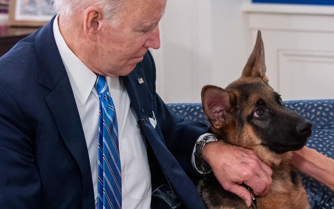 Commander, le chien de Joe Biden, écarté de la Maison Blanche