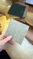 Testing Sofa Swatches When You Have Two Pugs