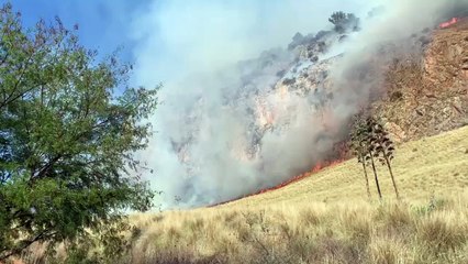Palermo, torna il fuoco su Monte Pellegrino